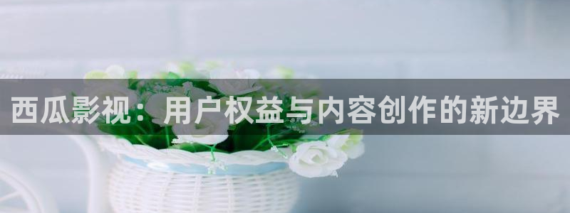 yy影院在线：西瓜影视：用户权益与内容创作的新边界