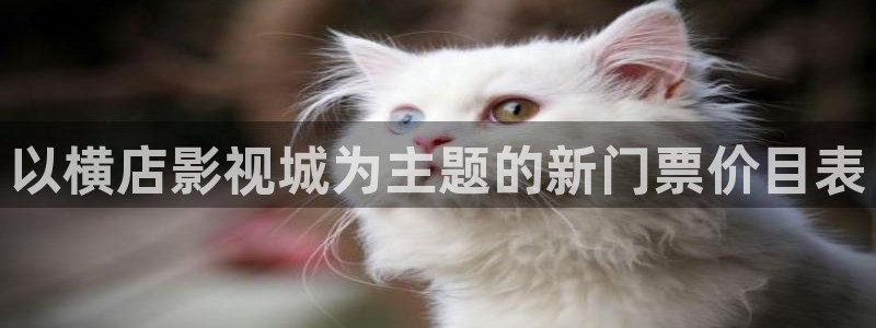 91yy影院在线播放：以横店影视城为主题的新门票价目表