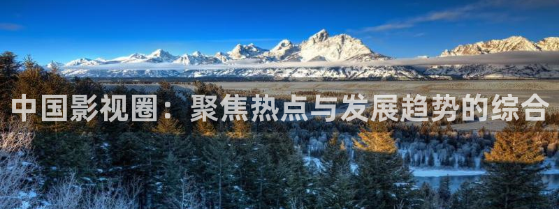 yy影院免费观看电视剧网站在线观看：中国影视圈：聚焦热点与发展趋势的综合