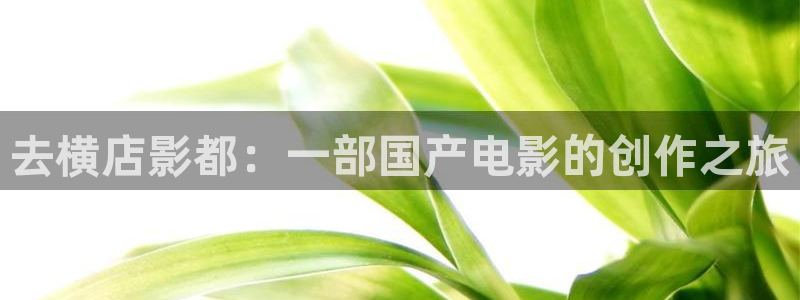 fnyy影院在线观看：去横店影都：一部国产电影的创作之旅