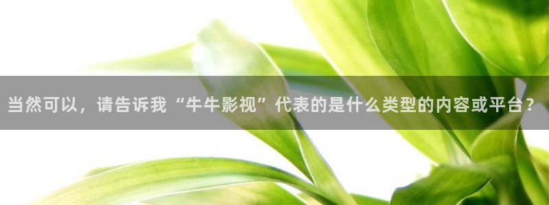 yy影院在线观看免费播放电视剧大全视频：当然可以，请告诉我“牛牛影视”代表的是什么类型的内容或平台？