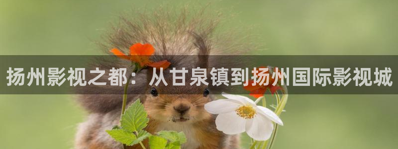 yy影院在线免费观看：扬州影视之都：从甘泉镇到扬州国际影视城