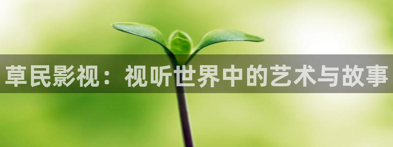 yy影院在线观看免费播放电视剧大全网：草民影视：视听世界中的艺术与故事