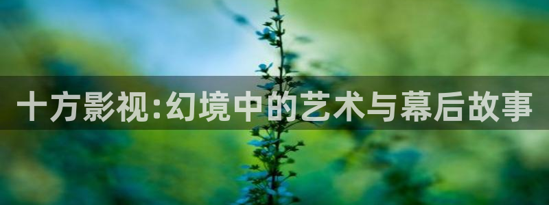 yy影院免费观看电视剧网站在线观看：十方影视:幻境中的艺术与幕后故事