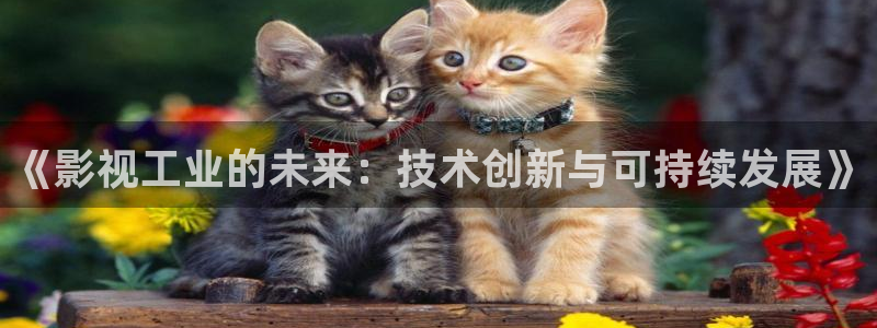 yy影院免费观看电视剧高清资源：《影视工业的未来：技术创新与可持续发展》