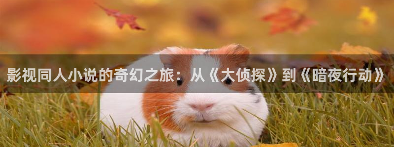 yy影院在线观看免费播放电视剧的注意：影视同人小说的奇幻之旅：从《大侦探》到《暗夜行动》