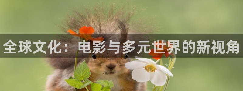 fnyy影院在线观看：全球文化：电影与多元世界的新视角